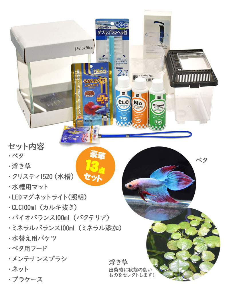 楽天市場】水槽 ホームアクアリウムオールセット 簡単 ベタ飼育セット