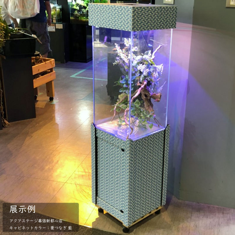 楽天市場】水槽 30cm ガラス水槽【32.5×32.5×117cm】J-MODEL 基本3点
