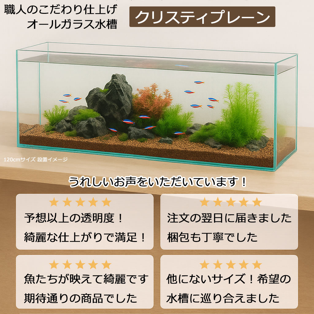 楽天市場】水槽 15cm ガラス水槽【15×15×20cm 3L】クリスティプレーン