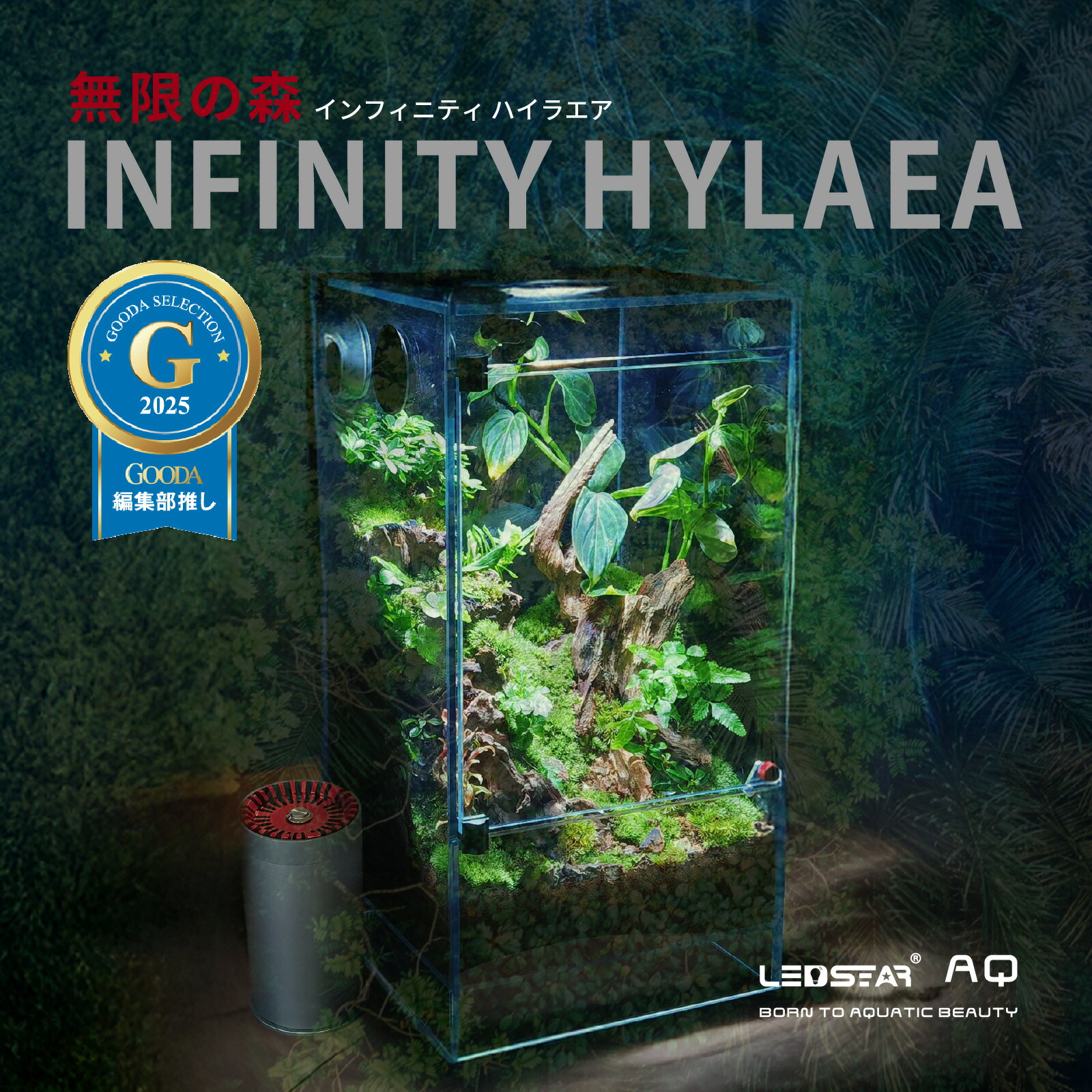 楽天市場】パルダリウム（水槽・アクアリウム｜熱帯魚・アクアリウム