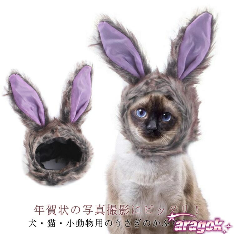 かぶりもの 猫用 ペット服」の人気商品一覧 | 安い商品を通販サイト