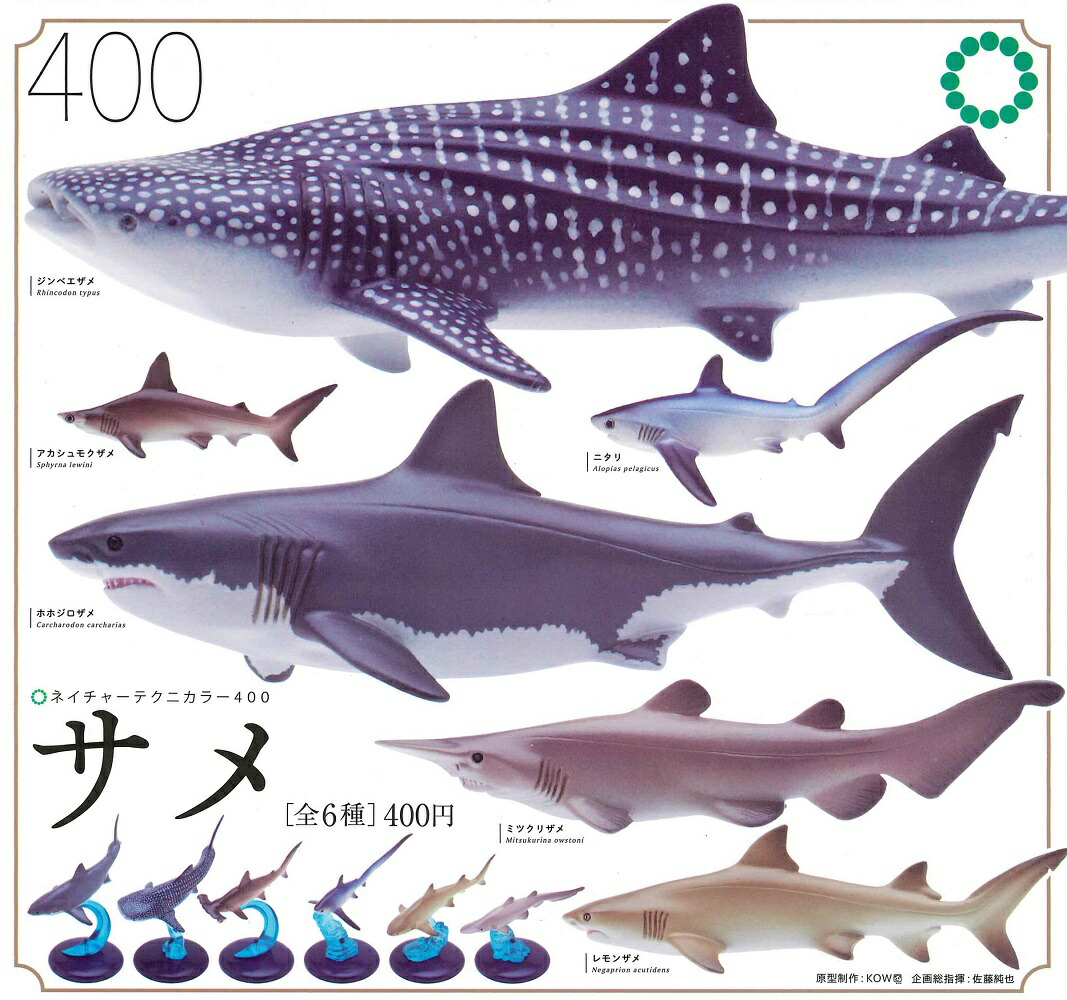 楽天市場】ネイチャーテクニカラー400 サメ 【全6種セット】 : A-TOYS