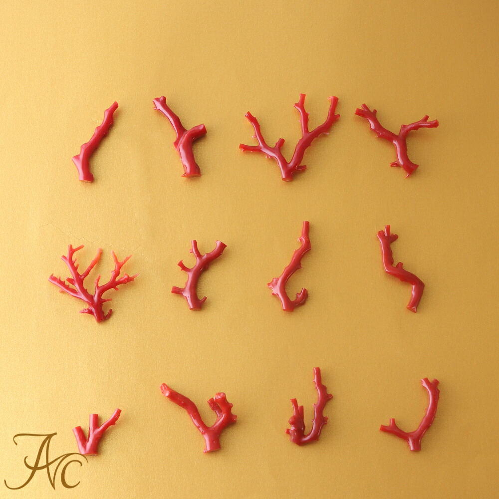 楽天市場】≪1年保証付き≫ 日本産血赤珊瑚＜枝＞ルース ペンダント