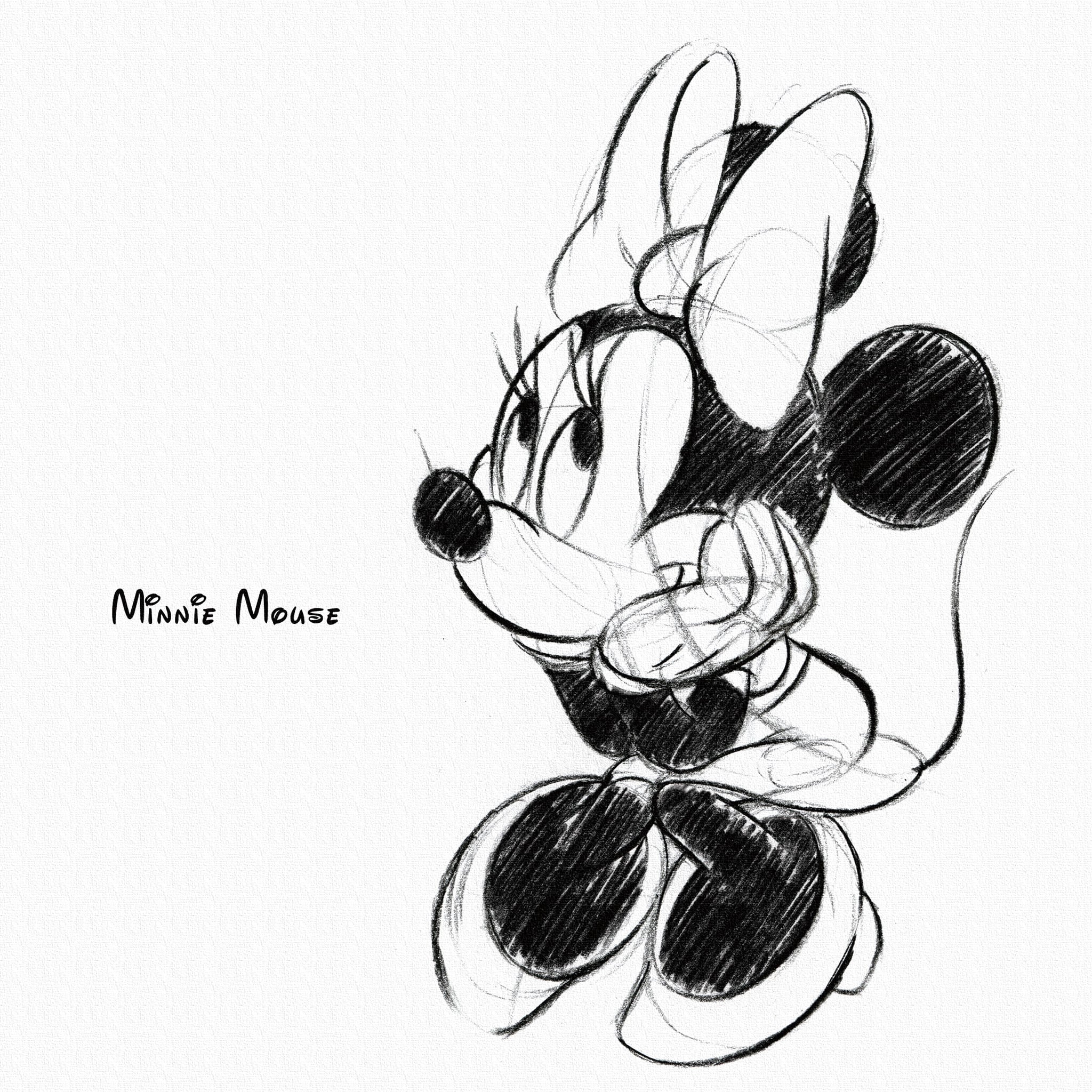 ミッキーマウスとミニーマウスの鉛筆画 【公式通販】