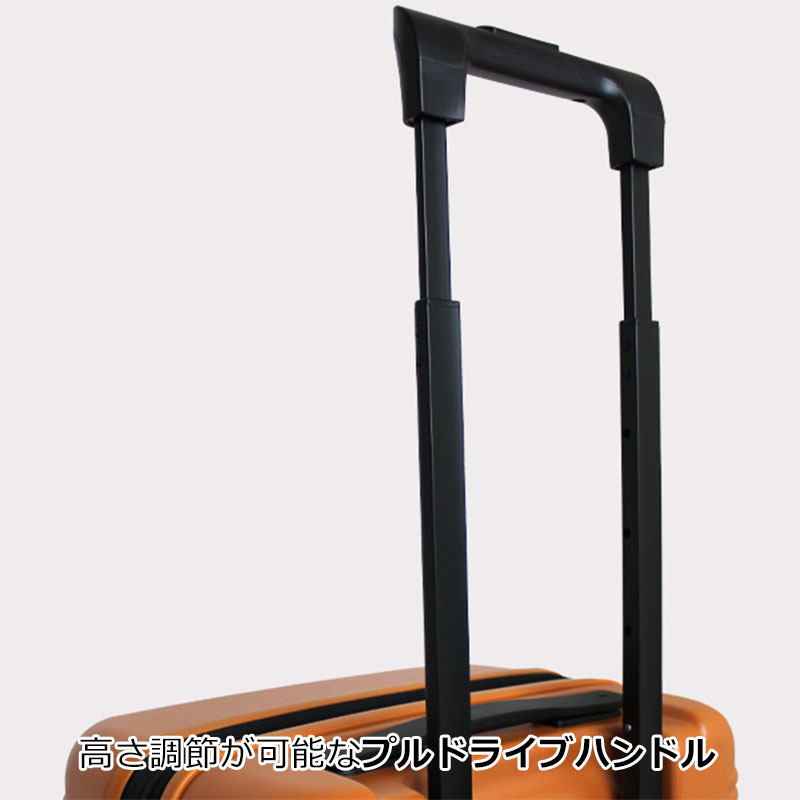 楽天市場】P10倍 エース ace. スーツケース ウォッシュボードZd 06454