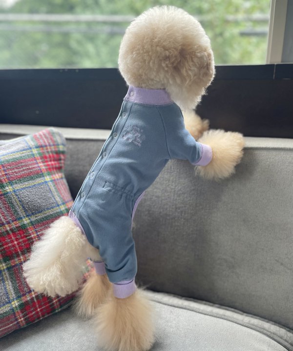 楽天市場】as know as Happyロンパース 犬 カットソー ワンピース