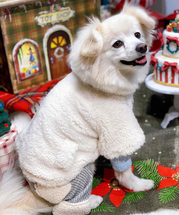 asknowasdewan テディベアポンチョ 3号 アズノウアズデワン アウタ