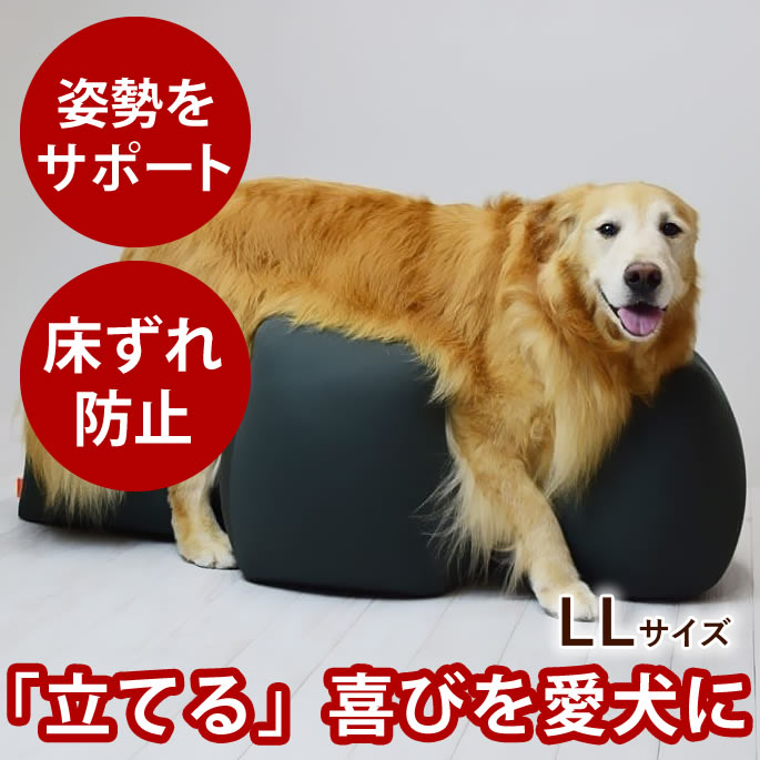 楽天市場】【愛犬用ベッド】 リラクッション LL チャコールグレー【立