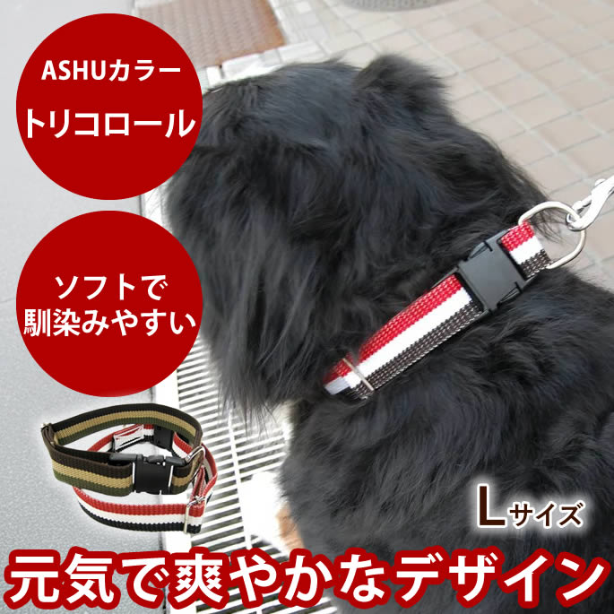 楽天市場】犬 首輪 大型犬 ASHU トリコロールカラーL【リードは別売り