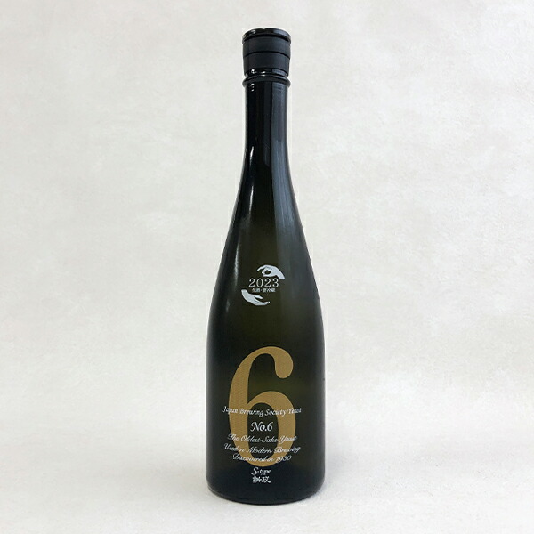 新政 No.6 HTYPE 2024 新政 No.6 HTYPE 2024 新政 No.6 H-type 2024