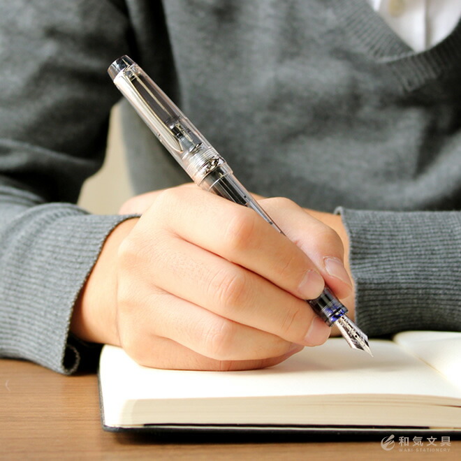 楽天市場】名入れ 無料 パイロット PILOT 万年筆 カスタム ヘリテイジ