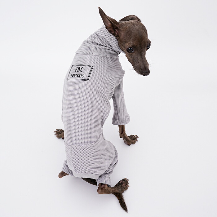 楽天市場】送料無料 イタリアングレーハウンド 服 イタグレ イタグレ