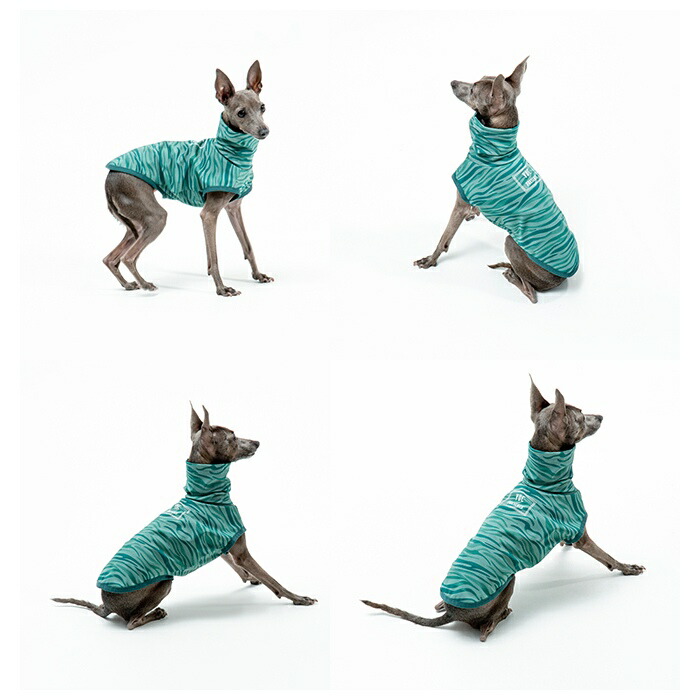 楽天市場】【新作登場】イタリアングレーハウンド ミニピン 服 夏服