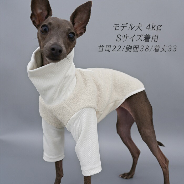 楽天市場】イタグレ服 ダブルボア イタリアングレーハウンド 専用服