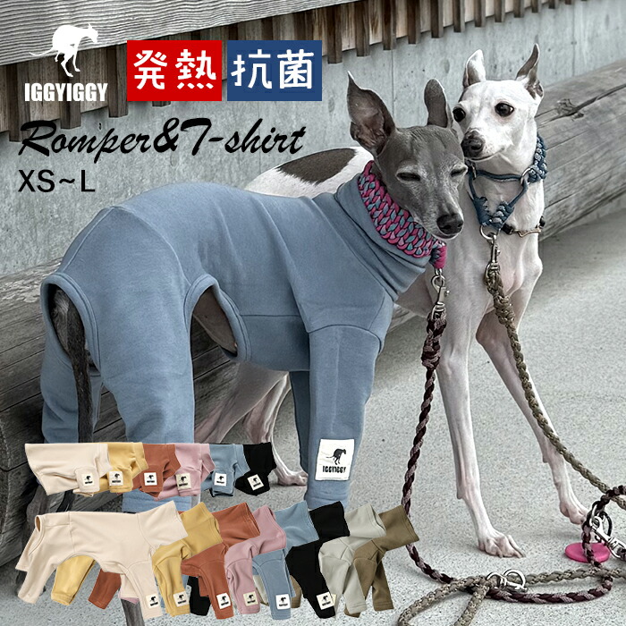 楽天市場】【新色追加】 イタグレ服 吸湿 発熱 抗菌 防臭 ロンパース T