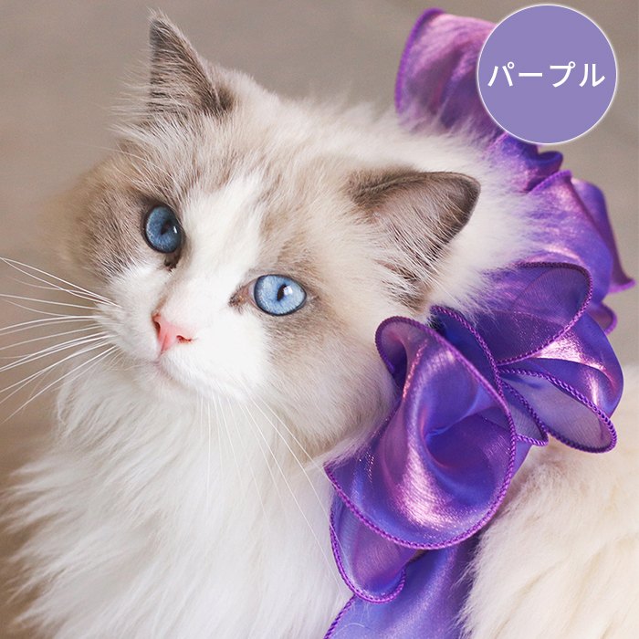 ダブルリボン(ペールオレンジ)わんちゃん猫ちゃん用首輪 ダブルリボン