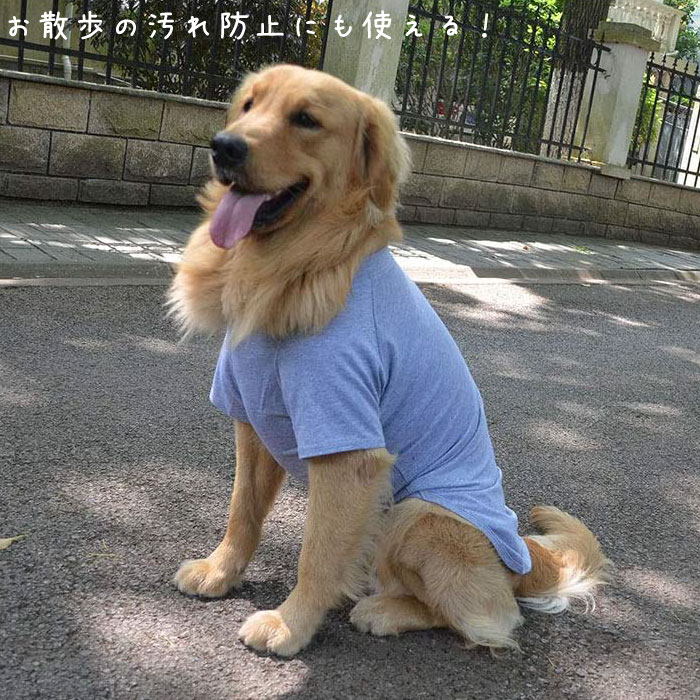 楽天市場】送料無料 大型犬 服 犬 秋冬 服 綿100％ Tシャツ 無地