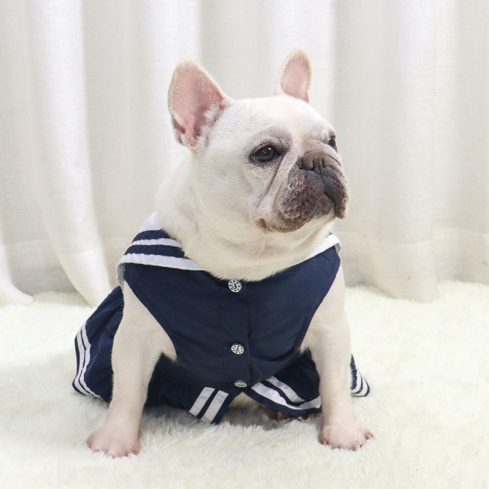 楽天市場】犬服 春 夏 ワンピース フレンチブルドッグ 服 中型犬 小型