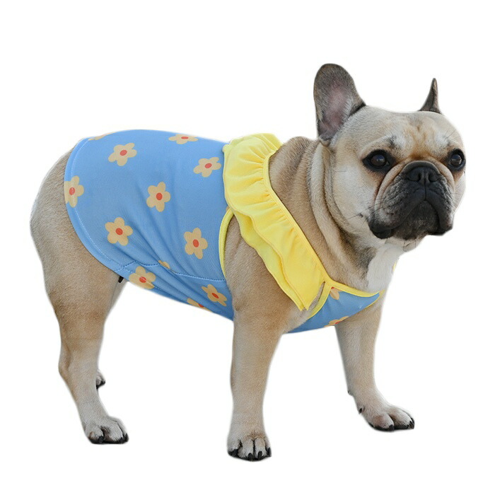 犬服 S わんこの普段着 水色の星 犬服 S わんこの普段着水色の星