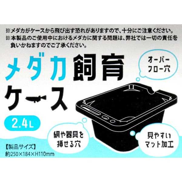 楽天市場】メダカ飼育ケース 容量2.4L : 100円雑貨＆日用品卸-BABABA