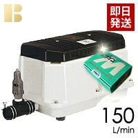 浄化槽ブロアー 150」の人気商品一覧 | 安い商品を通販サイトから探す