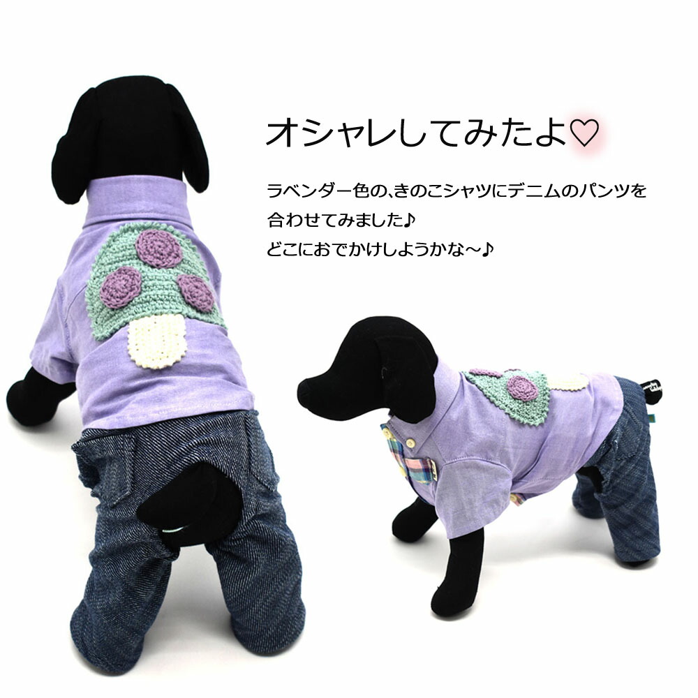 楽天市場】簡単脱着パンツ 小型犬用 6サイズ 犬服 超小型犬 ペット