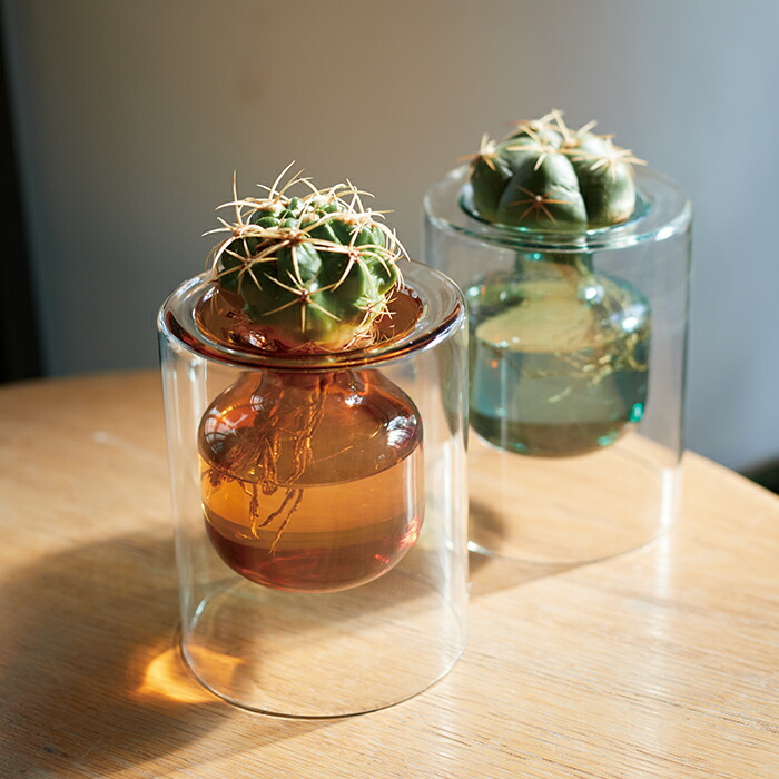 楽天市場】イルヴァ アクアカルチャーベイス 15 ≪植木鉢 ガーデン雑貨