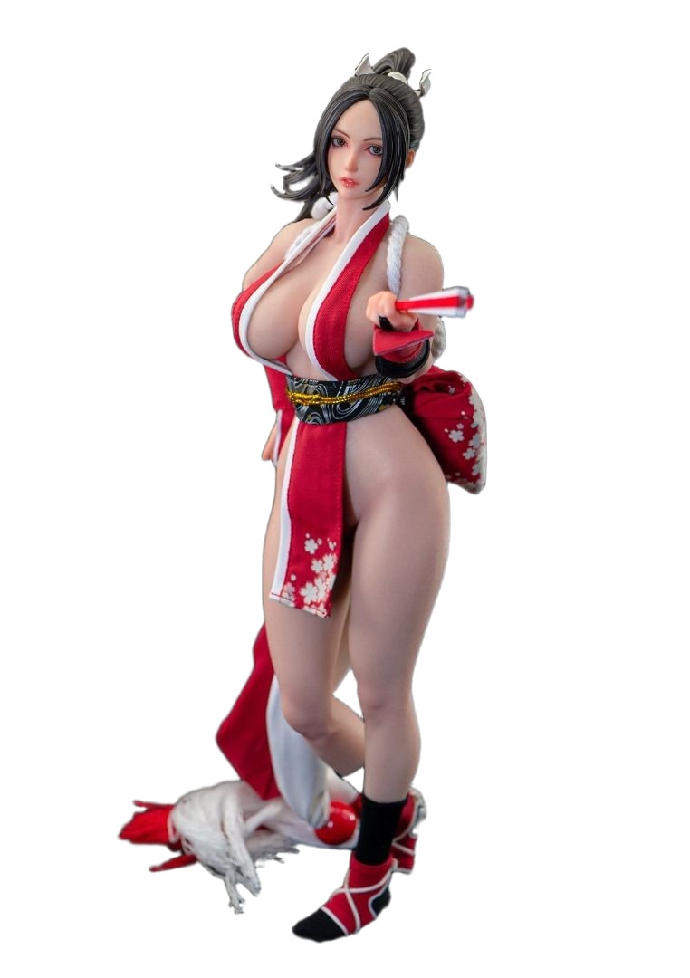 Ninja Cat N001 スーパー女性格闘家舞 1/6スケール Ninja Cat 1/6 女子