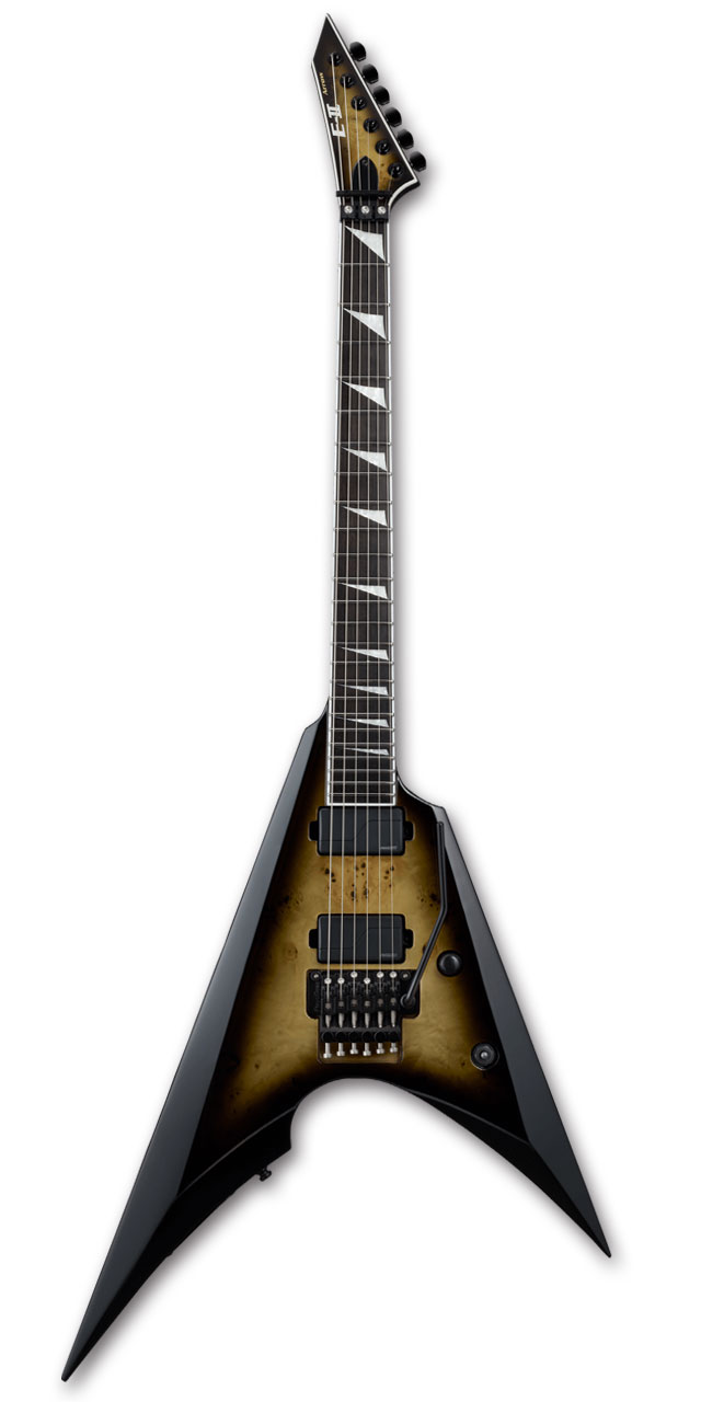 エピフォンエレキギターフロイドローズハードケース付き