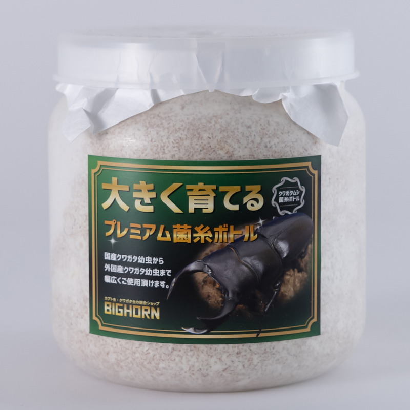 楽天市場】BIGHORN 菌糸ボトル 1400CC 12本セット 手詰め 広葉樹 国産