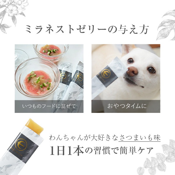 楽天市場】ミラネストゼリースティックFOR DOG さつまいも風味 犬