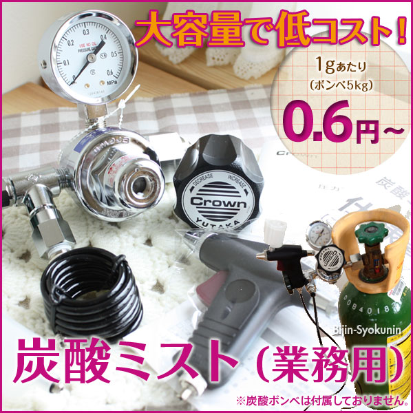 みのきち業務用炭酸ミスト 美容 エステ サロン みのきち業務用炭酸