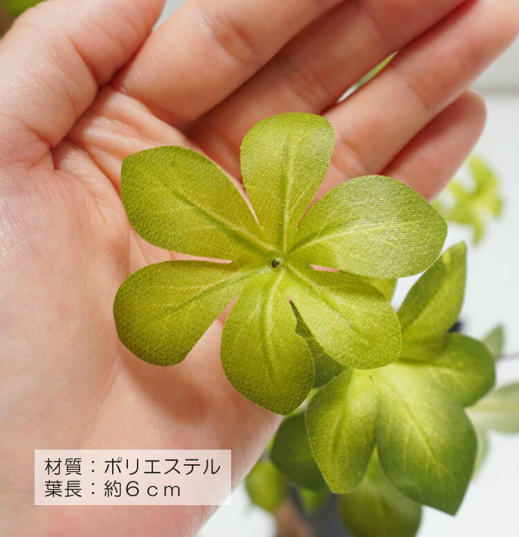 楽天市場】ドウダンツツジ パーテーション 160cm 下草装飾付 (フェイク