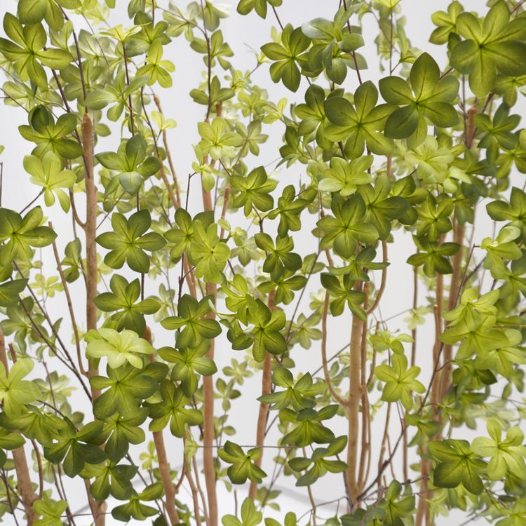 楽天市場】ドウダンツツジ パーテーション 160cm 下草装飾付 (フェイク