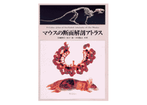 マウスの断面解剖アトラス
