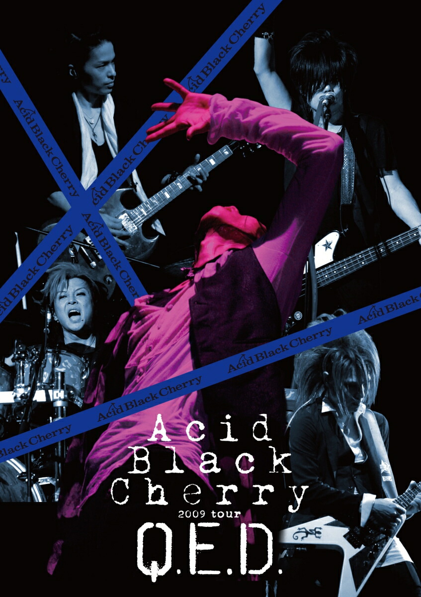 R*n様 Acid Black Cherry 楽天ブックス特典 キーホルダー コ