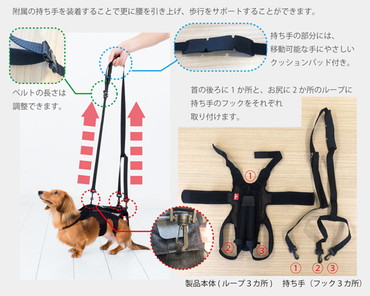 楽天市場】［当日出荷］（送料無料）（anifull）わんコル 犬用