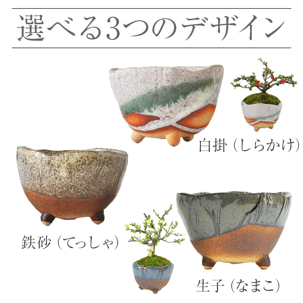 楽天市場】盆栽鉢 山野草鉢 信楽焼 白掛三ツ足 幅 11cm 3.5号 〜 4号