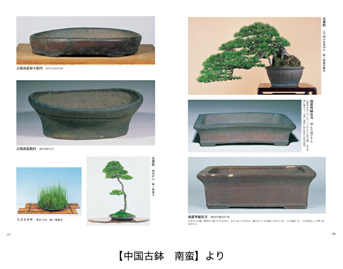 盆栽鉢 落款「柴勝造印」 盆栽古鉢 盆器大図鑑 【上巻】 | 盆栽、