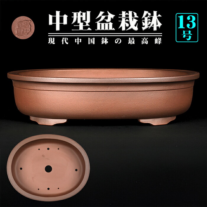 中国古鉢 紫泥 外縁六角鉢 龍紋 龍 支那鉢 中国 中国鉢