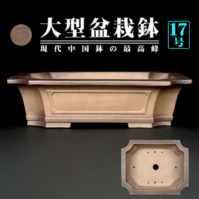 盆栽鉢 大型」の人気商品一覧 | 安い商品を通販サイトから探す - 価格.com