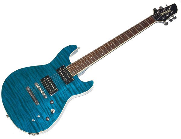 楽天市場】☆ソフトケース付！FERNANDES フェルナンデス APG-55S