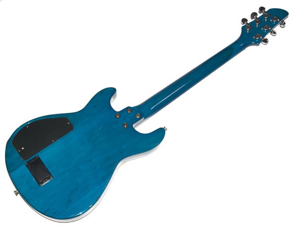 楽天市場】☆ソフトケース付！FERNANDES フェルナンデス APG-55S