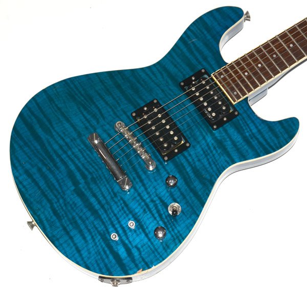 楽天市場】☆ソフトケース付！FERNANDES フェルナンデス APG-55S