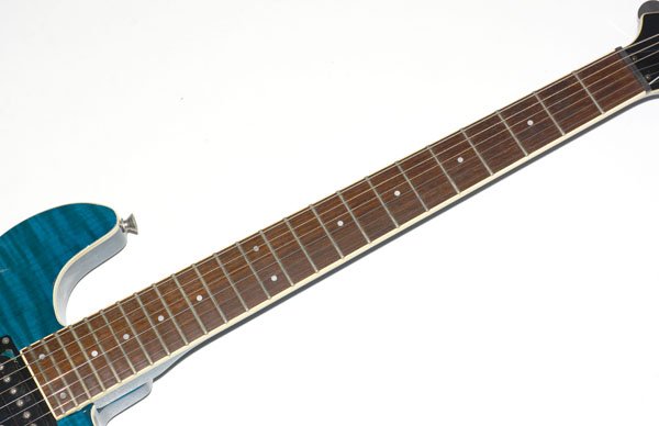 楽天市場】☆ソフトケース付！FERNANDES フェルナンデス APG-55S