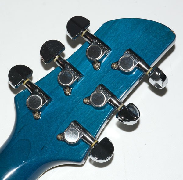 楽天市場】☆ソフトケース付！FERNANDES フェルナンデス APG-55S