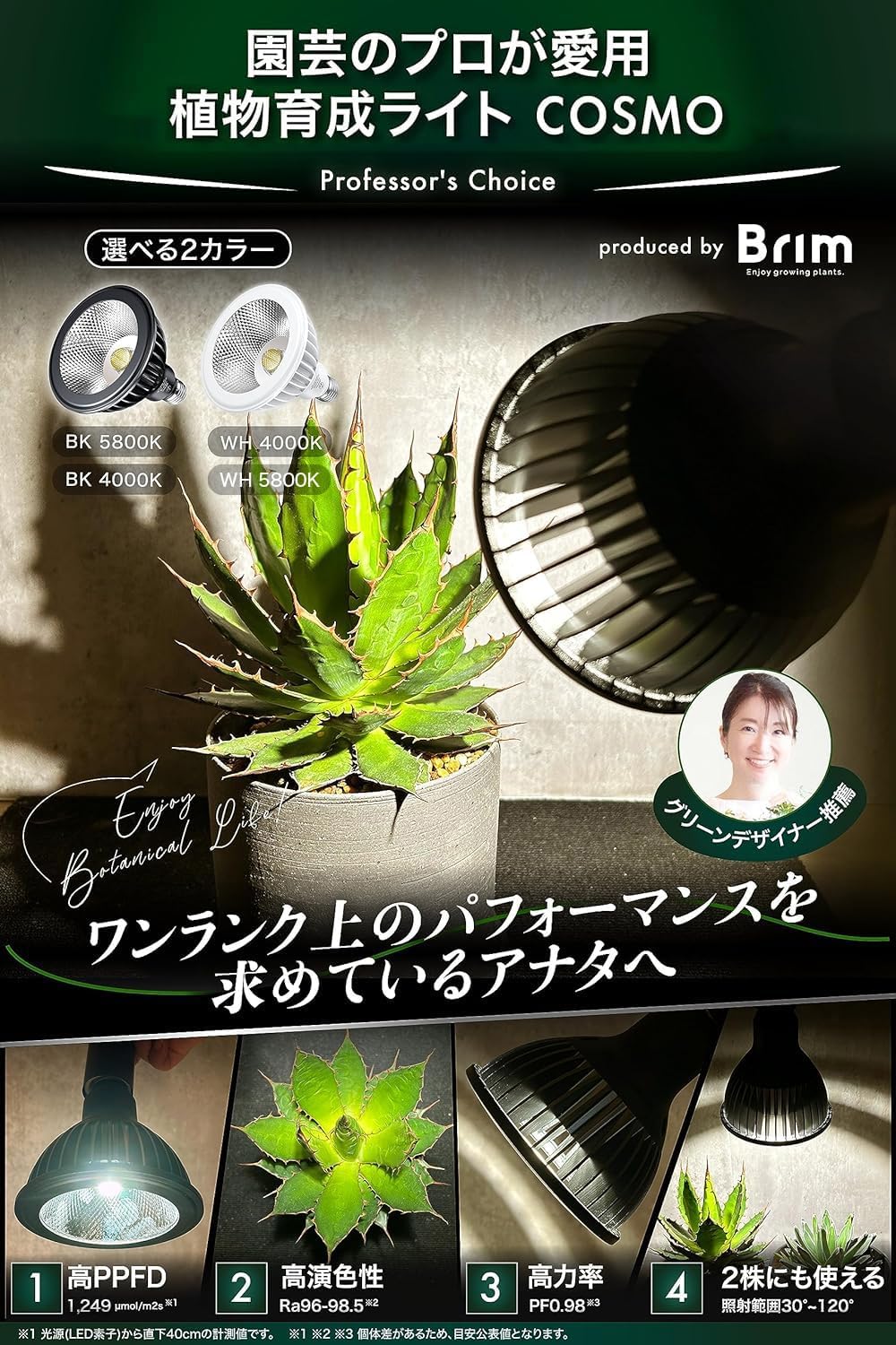 楽天市場】BRIM(ブリム) 公式店 グリーンアドバイザー推薦 BRIM(ブリム