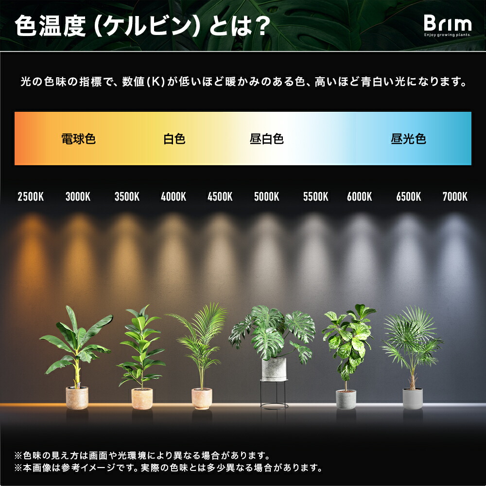 楽天市場】BRIM(ブリム) PANEL X 植物育成ライト LED パネルライト