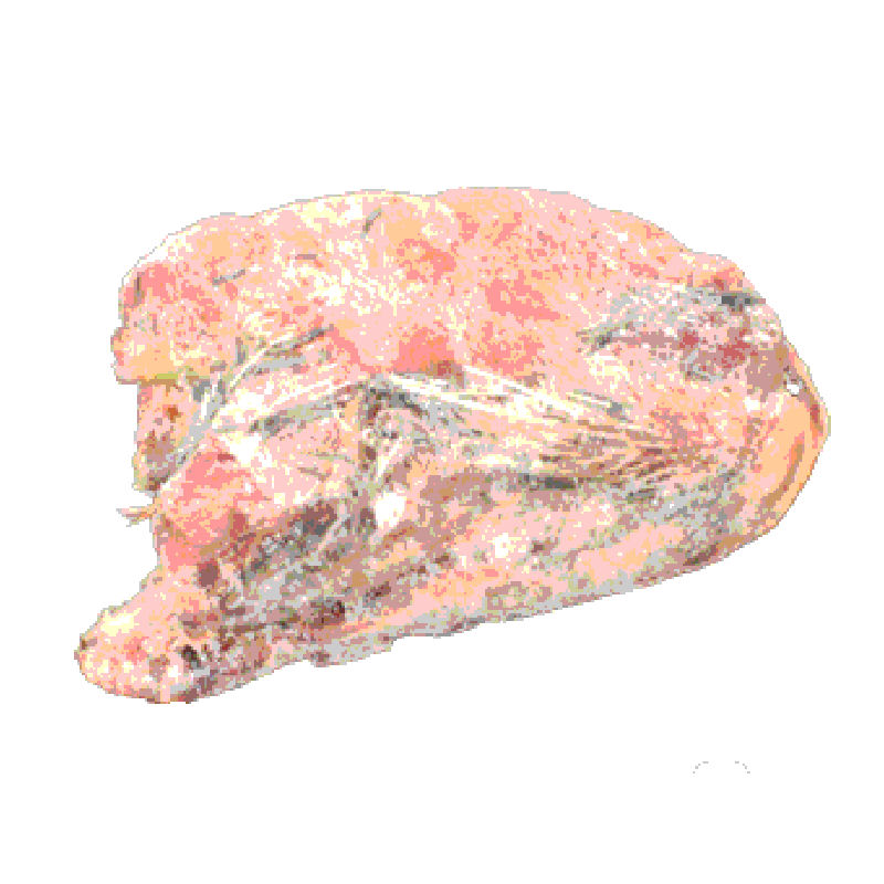 冷凍親ウズラ60羽爬虫類・猛禽類 【公式通販】