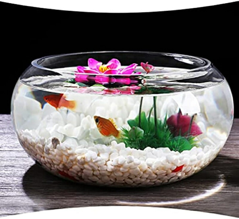 楽天市場】金魚鉢 丸型金魚鉢 ガラス 透明 テーブル アクアリウム